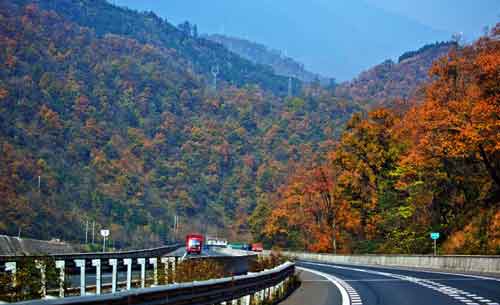 秋游正當(dāng)時！成都租車旅游選哪一條？